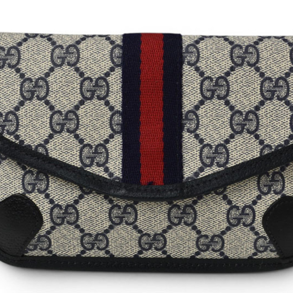 Gucci pouch, Old / GUCCI GG Plus Sherry Line, Blue/Beige